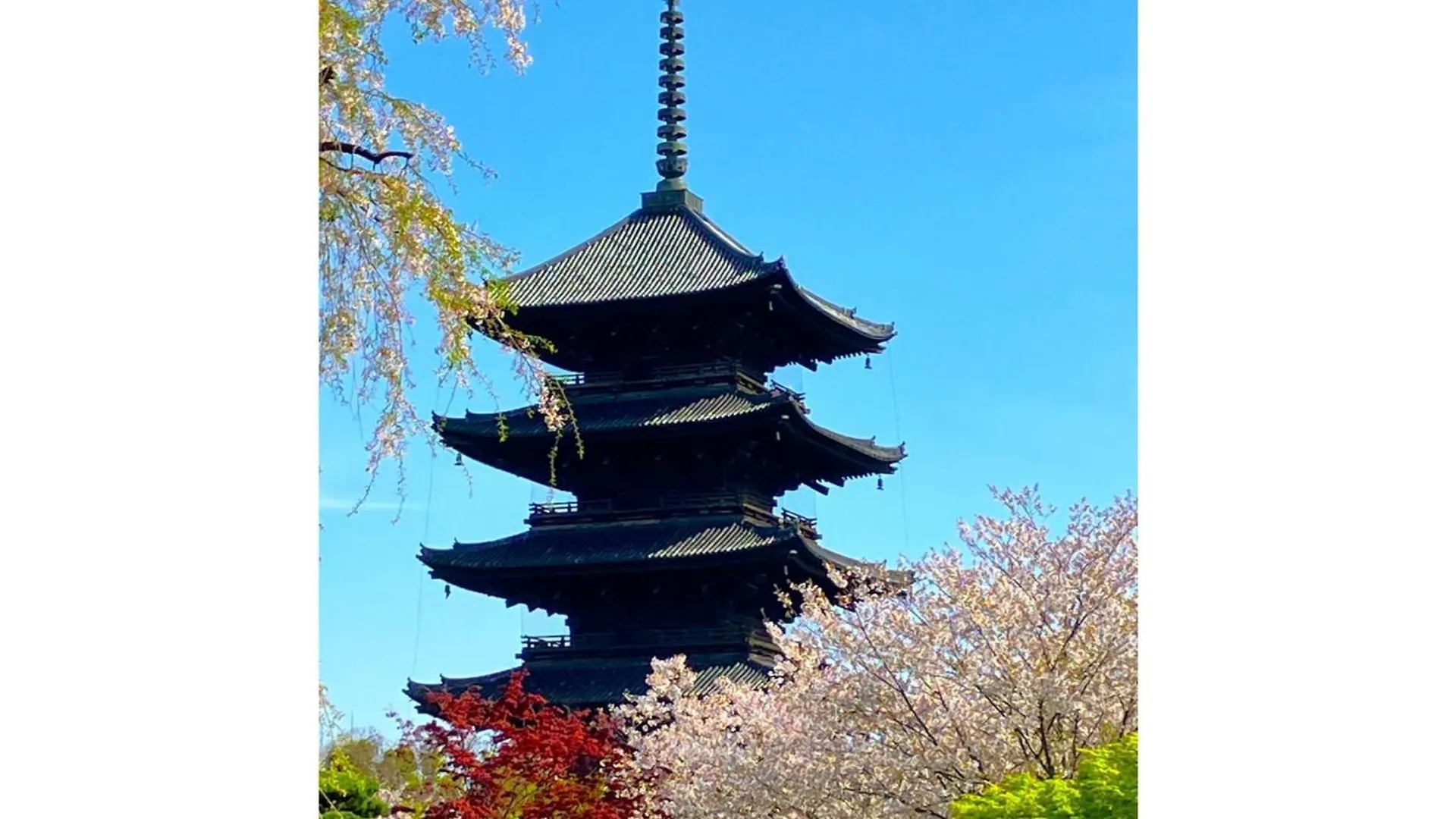 Hotel Premium Toji - Vacation Stay 28868V Kyoto